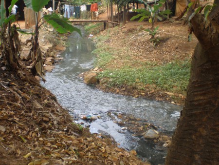 LANÇAMENTO DE ESGOTOS IN NATURA EM CURSOS D'ÁGUA DO MUNICÍPIO DE JAÚ, RESPONSABILIDADE DO PODER PÚBLICO MUNICIPAL .